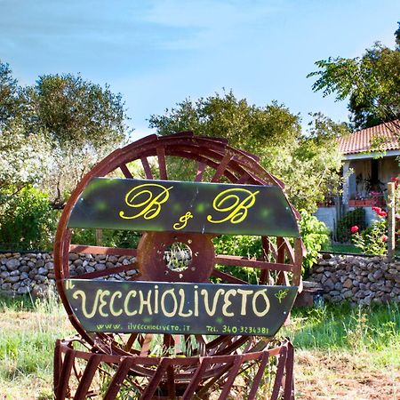 Il Vecchioliveto Di Ornella Bed & Breakfast Marrubiu Bagian luar foto