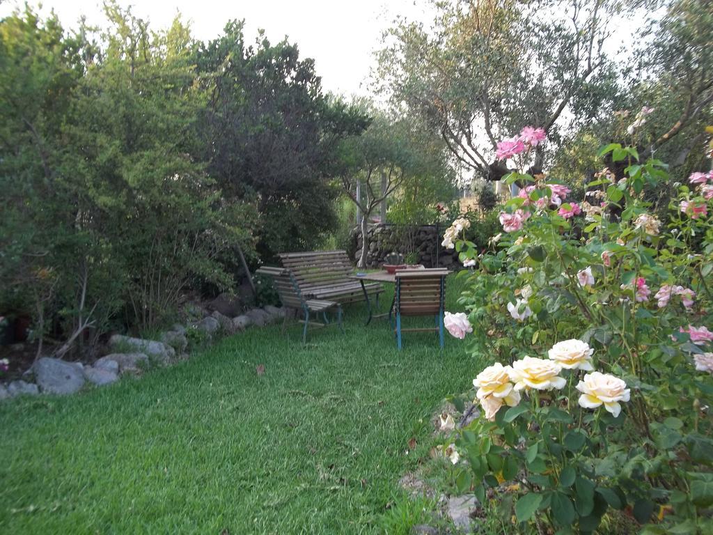 Il Vecchioliveto Di Ornella Bed & Breakfast Marrubiu Ruang foto