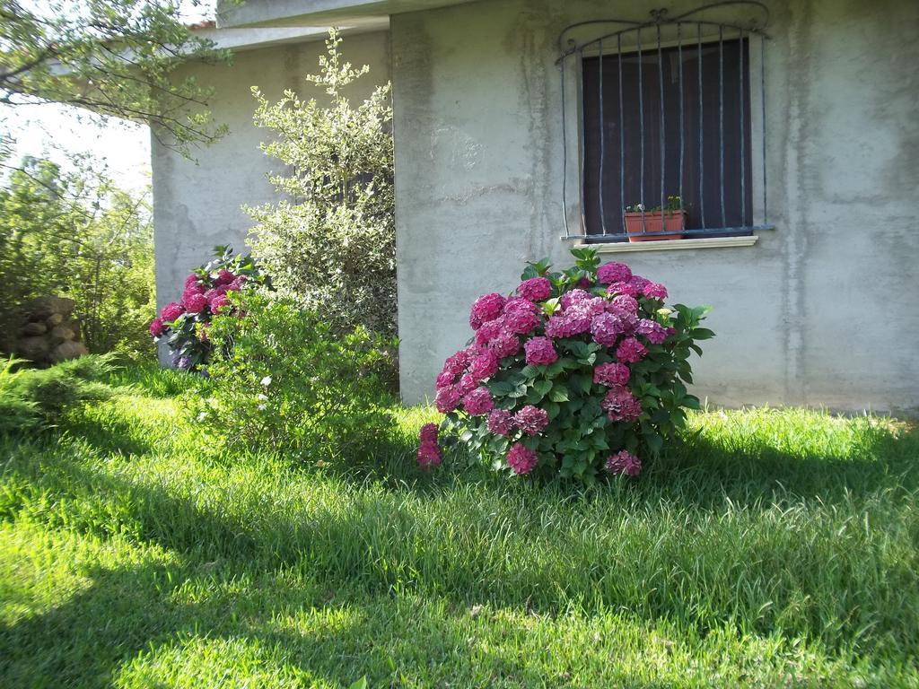 Il Vecchioliveto Di Ornella Bed & Breakfast Marrubiu Bagian luar foto
