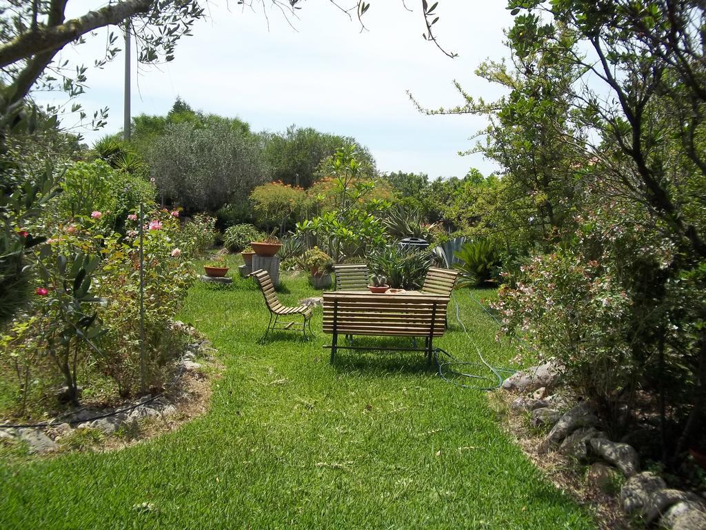 Il Vecchioliveto Di Ornella Bed & Breakfast Marrubiu Ruang foto