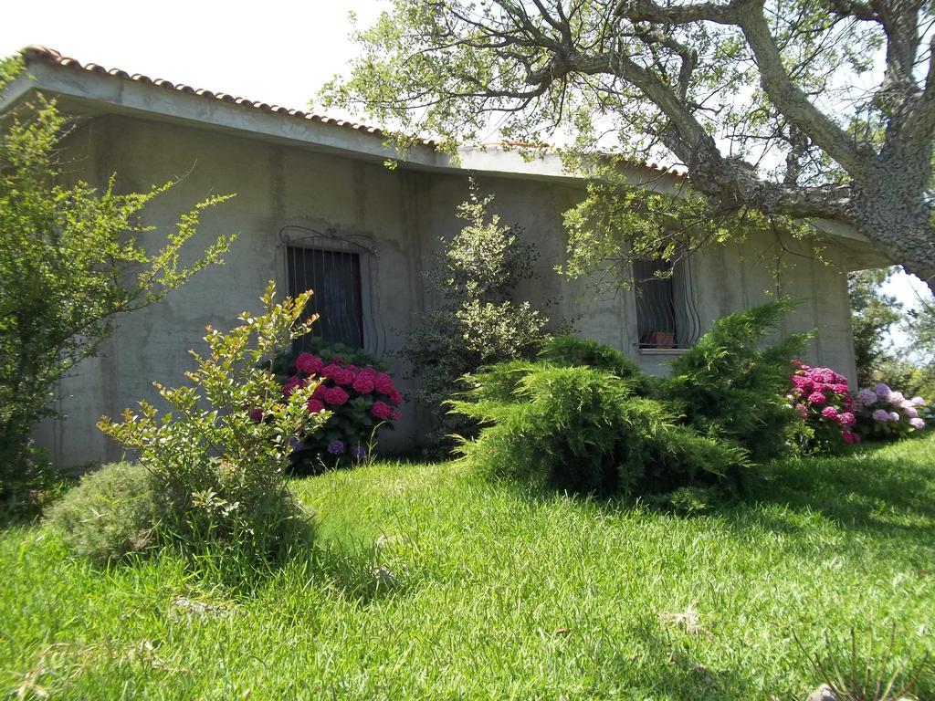Il Vecchioliveto Di Ornella Bed & Breakfast Marrubiu Ruang foto