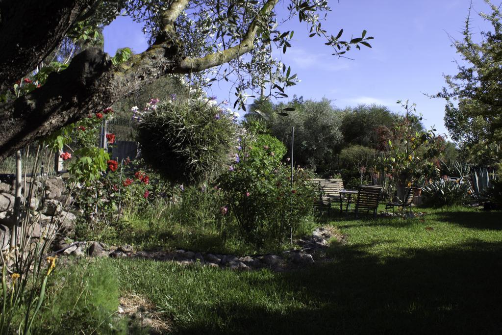 Il Vecchioliveto Di Ornella Bed & Breakfast Marrubiu Bagian luar foto