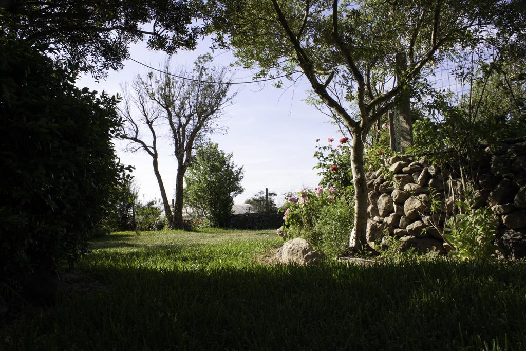 Il Vecchioliveto Di Ornella Bed & Breakfast Marrubiu Bagian luar foto
