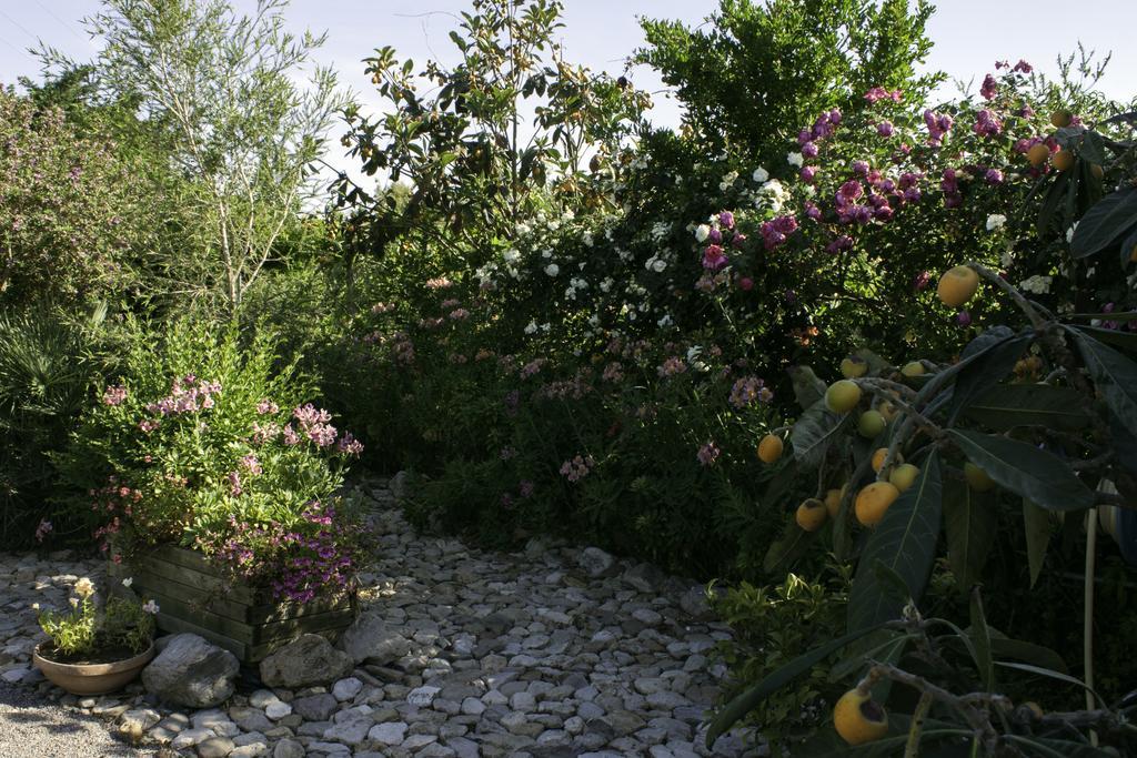 Il Vecchioliveto Di Ornella Bed & Breakfast Marrubiu Bagian luar foto