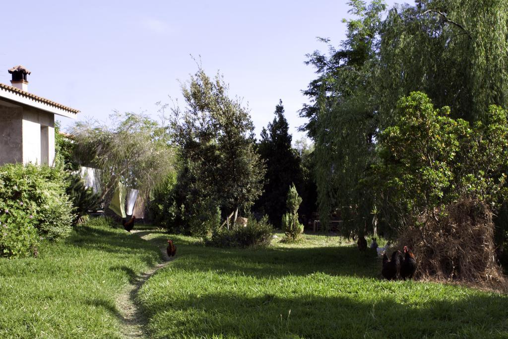 Il Vecchioliveto Di Ornella Bed & Breakfast Marrubiu Bagian luar foto