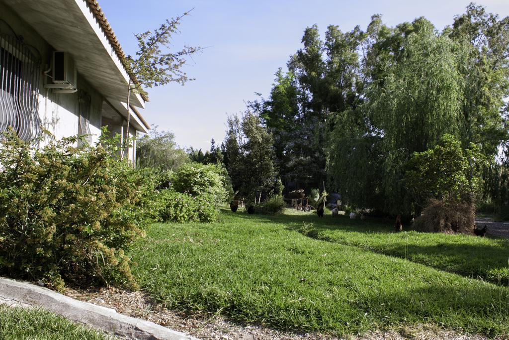 Il Vecchioliveto Di Ornella Bed & Breakfast Marrubiu Bagian luar foto