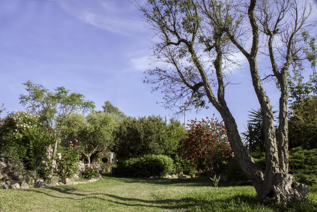 Il Vecchioliveto Di Ornella Bed & Breakfast Marrubiu Bagian luar foto