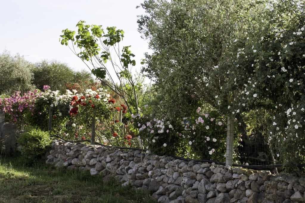 Il Vecchioliveto Di Ornella Bed & Breakfast Marrubiu Bagian luar foto