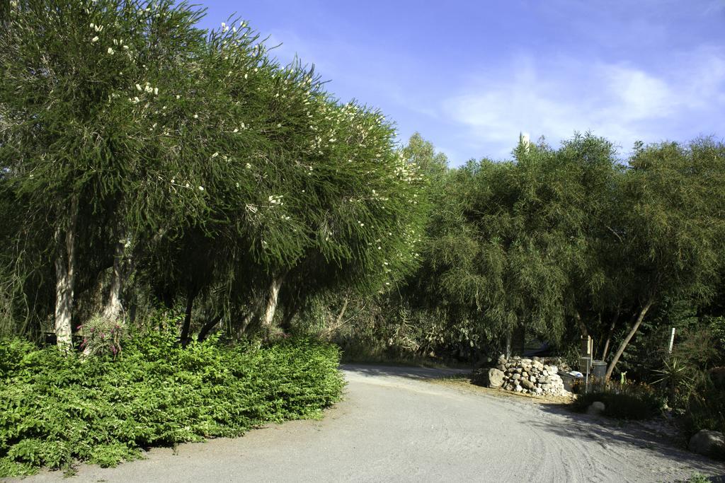Il Vecchioliveto Di Ornella Bed & Breakfast Marrubiu Bagian luar foto