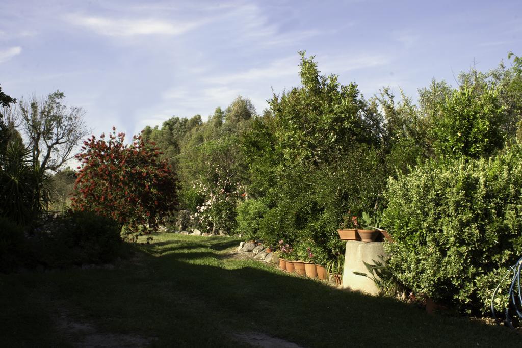 Il Vecchioliveto Di Ornella Bed & Breakfast Marrubiu Bagian luar foto