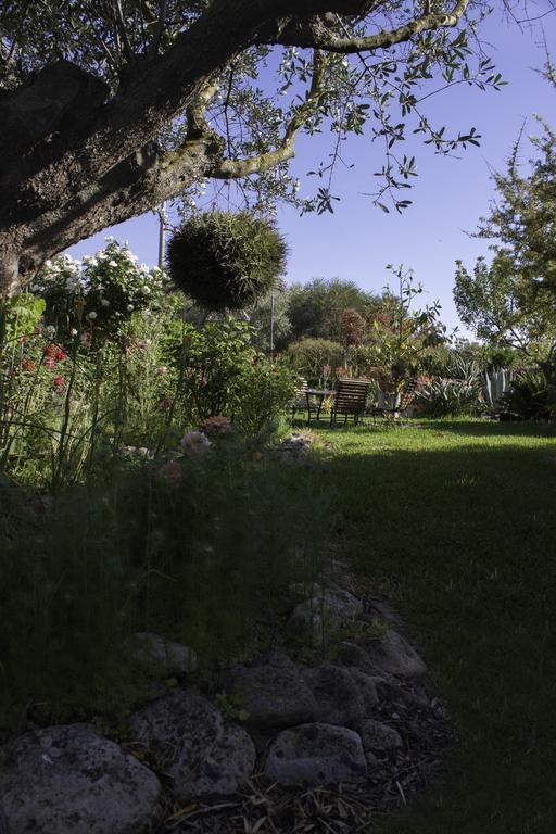 Il Vecchioliveto Di Ornella Bed & Breakfast Marrubiu Bagian luar foto